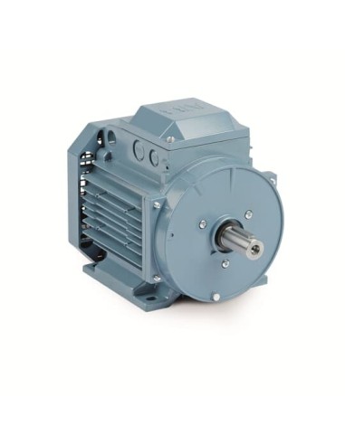 Motor eléctrico trifasico ABB de 1,5 Kw ( 2 Hp) 1000 Rpm B3 (PATAS) øeje 28 mm