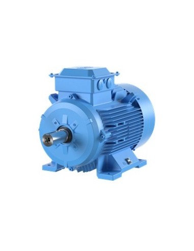 Motor eléctrico trifasico ABB de 0,75 Kw (1 Hp) 1000 Rpm B3 (PATAS) øeje 24 mm